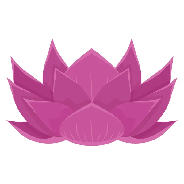 Fleur de lotus rose — Image vectorielle