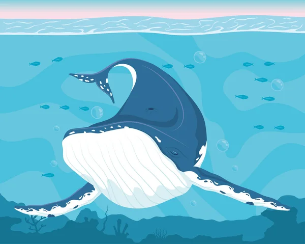 Velryba podmořská scéna — Stockový vektor