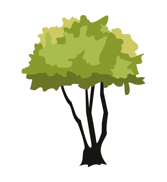 Φύση φυτών δένδρων — Διανυσματικό Αρχείο