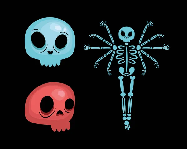 Skeleton and skulls — Stock Vector