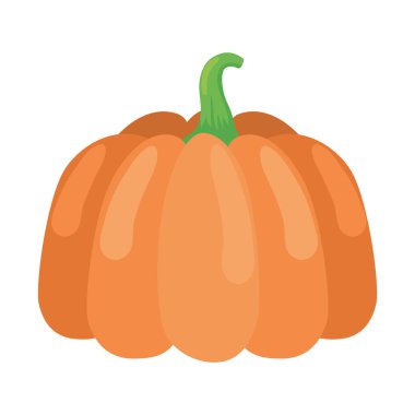 balkabağı taze sebze