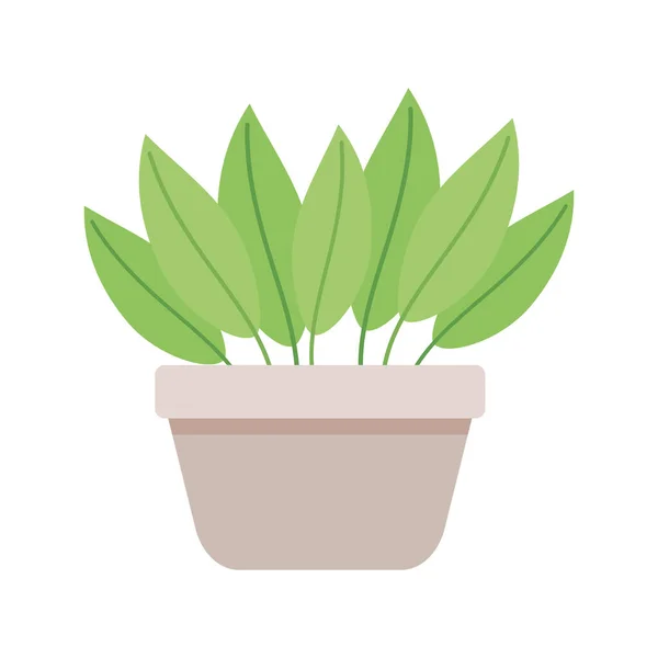 Planta de interior en maceta beige — Vector de stock