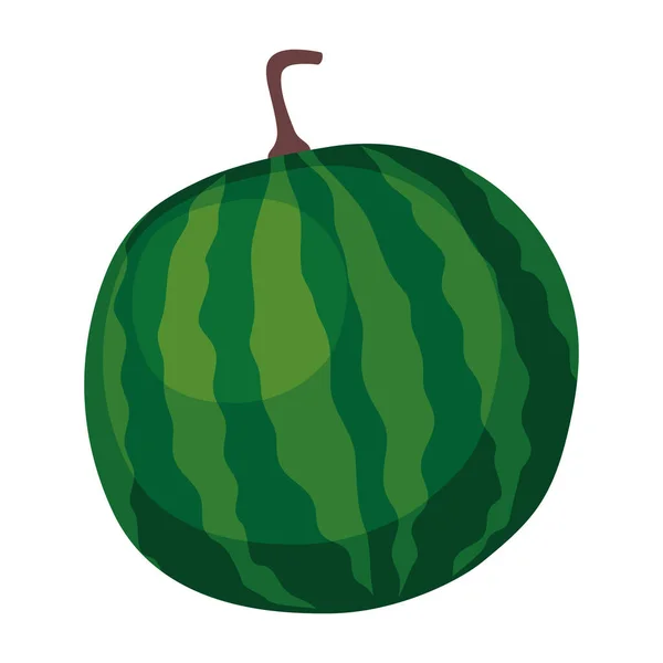 Melon d'eau fruits frais — Image vectorielle