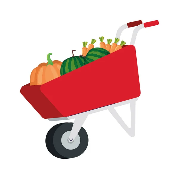 Warzywa w taczce — Wektor stockowy