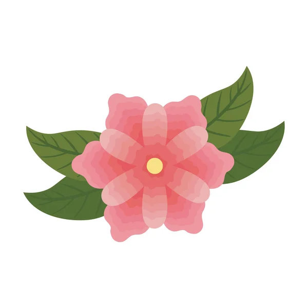 Flor rosa con hojas — Vector de stock