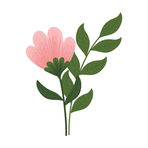 Rosa Rose mit Blättern — Stockvektor