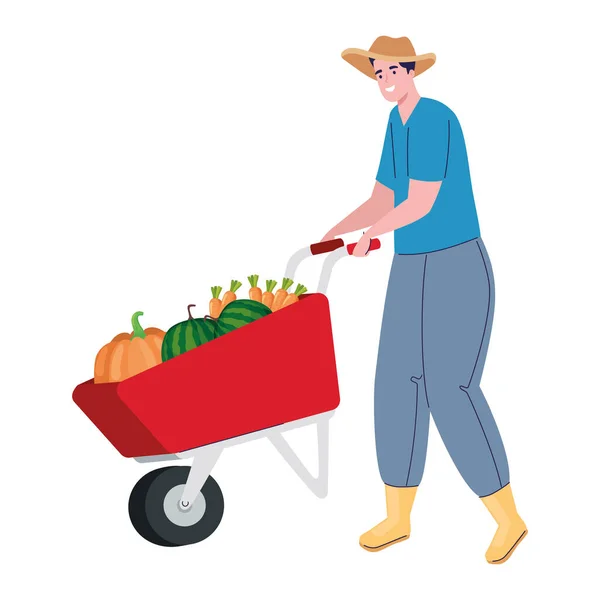 Farmer with vegetables — Stock Vector