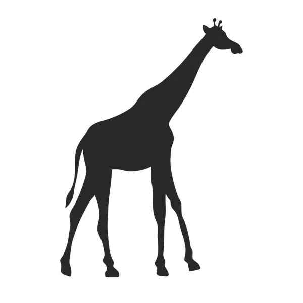 Silueta de jirafa africana — Vector de stock