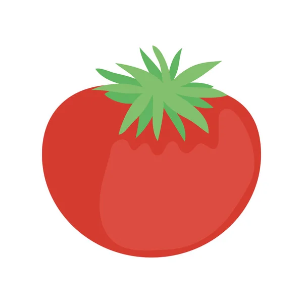 Tomate rojo fresco — Vector de stock