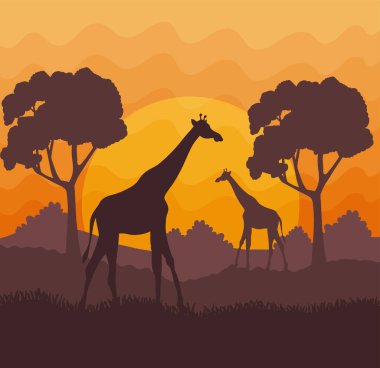 Zürafalı Afrika savanası