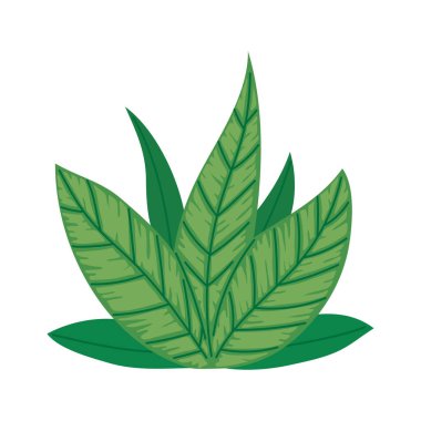 Yeşil Bahçe Çalılığı