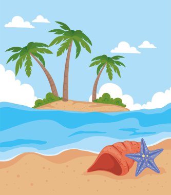 Sahilde deniz kabuğu