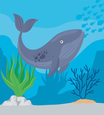 Balina yüzme sahnesi