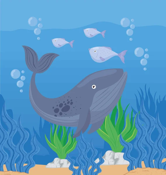 Ikan paus berenang di bawah laut - Stok Vektor