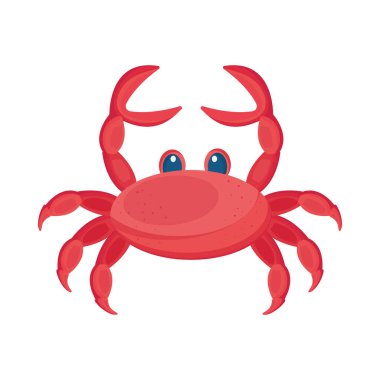 Kırmızı yengeç hayvan