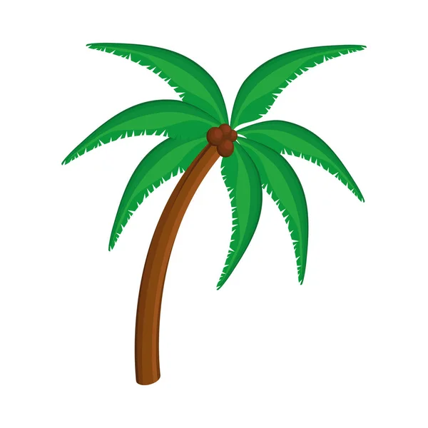 Albero palma tropicale — Vettoriale Stock
