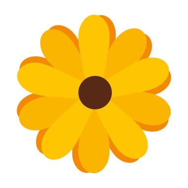 Güzel Sarı Ayçiçeği