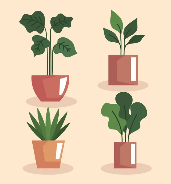 Quatre plantes d'intérieur en pots — Image vectorielle