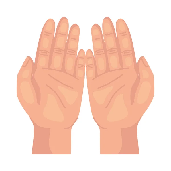 Руки человеческие молятся — стоковый вектор