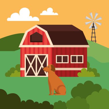 Çiftliği olan köpek.