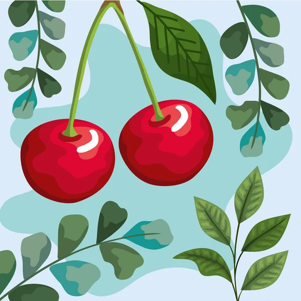 Cherries fresh fruits — Vector de stock