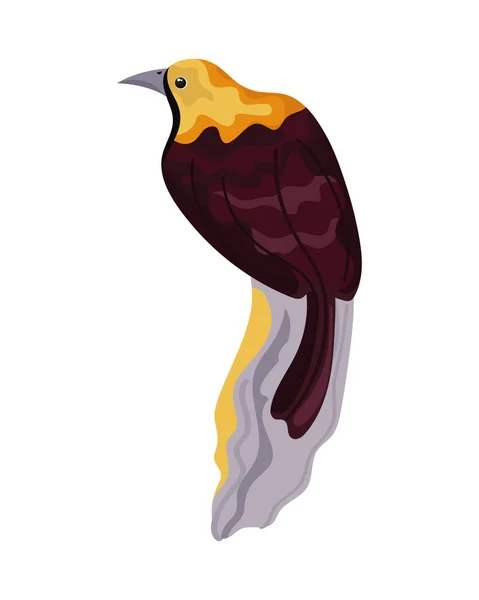 Goldfinch exotic bird — Stok Vektör