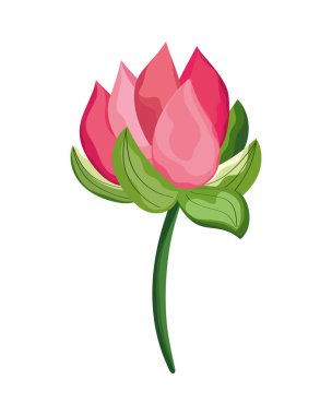 kırmızı gül çiçek