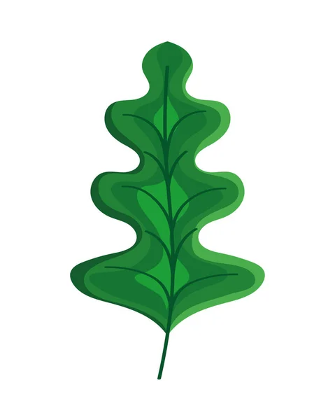 Grünes Blatt Aquarell — Stockvektor