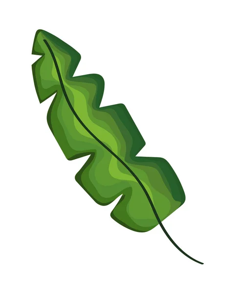 Зелений лист palm — стоковий вектор