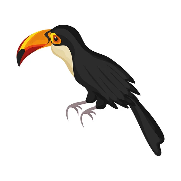 ツアーカンエキゾチックな鳥 — ストックベクタ