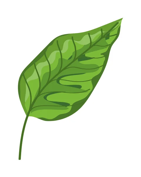 Groene bladplant — Stockvector