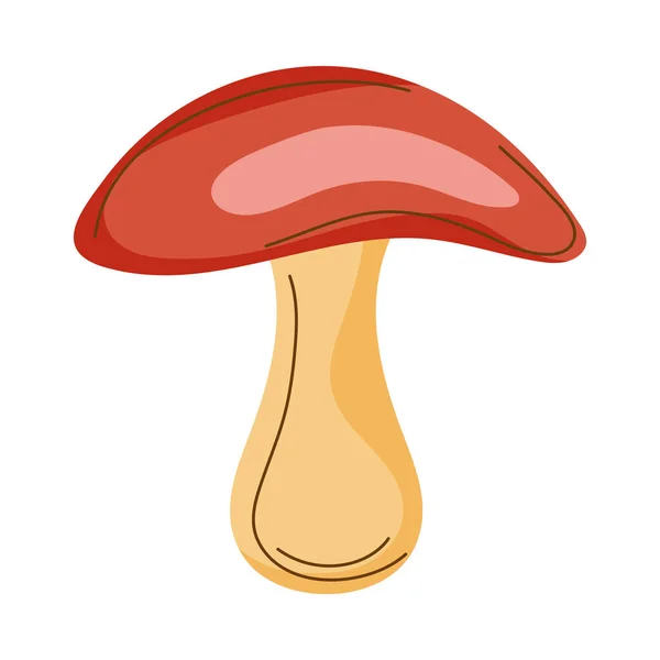 Příroda houba rostlina — Stockový vektor