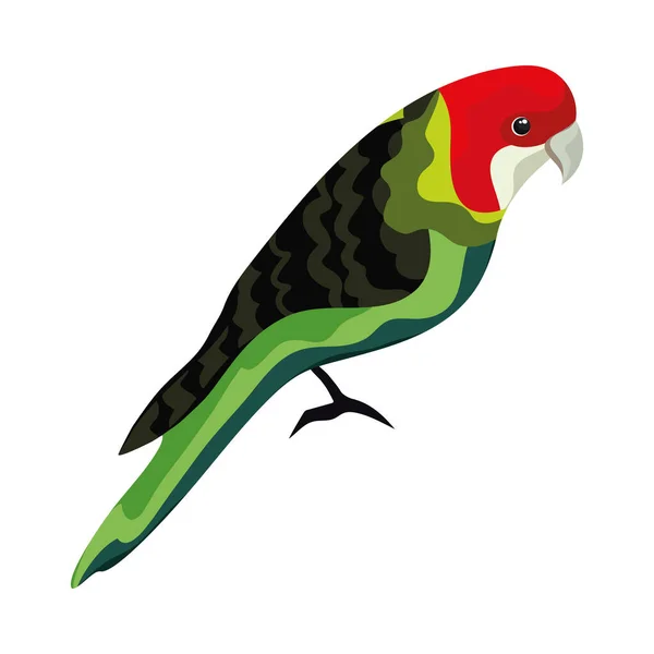 Exotiska papegoja fågel — Stock vektor