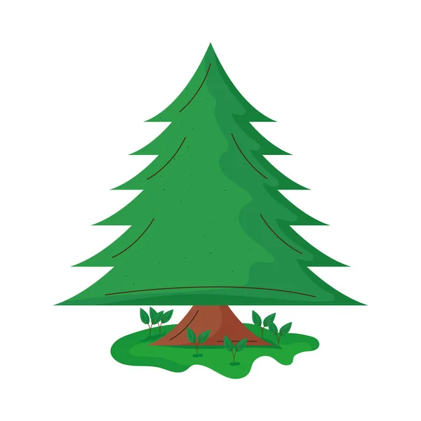 Pine tree pot — стоковый вектор