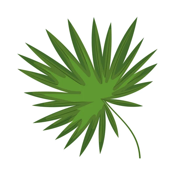 Exotic and tropical leaf —  Vetores de Stock