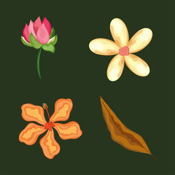 Drie bloemen en blad — Stockvector