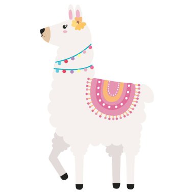 Tatlı lama yürüyor.