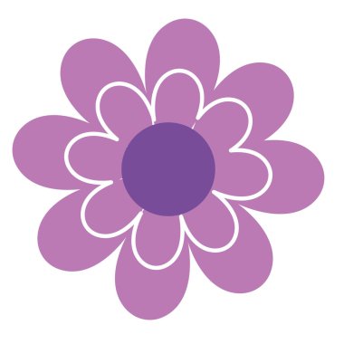 mor çiçek bahçesi