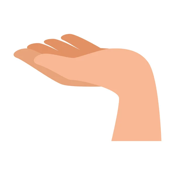 Hand menschlicher Aufnahme — Stockvektor