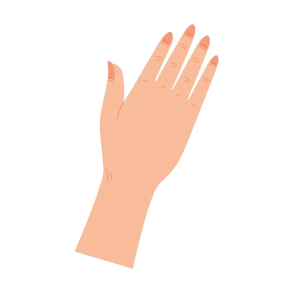 Ręka kobiety z pomarańczowymi paznokciami — Wektor stockowy