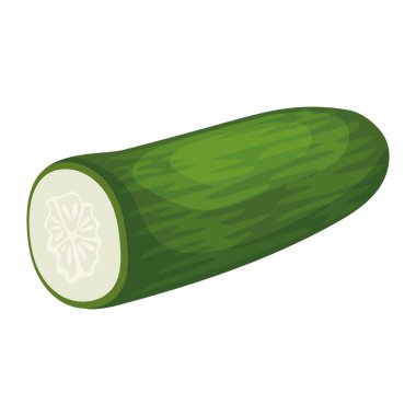 taze salatalık sebze