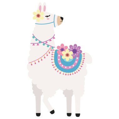 cute llama standing position