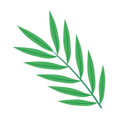 Yapraklı tropikal dal