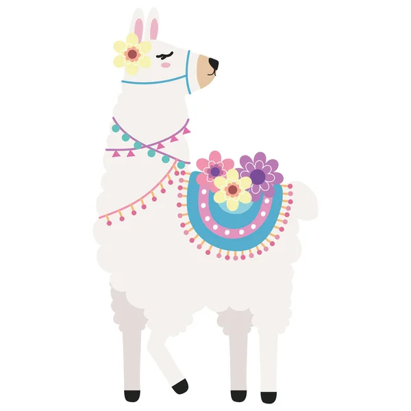 Cute llama standing position — Stockový vektor