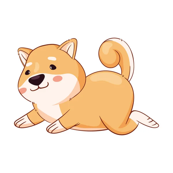 Shiba inu jumping personagem — Vetor de Stock