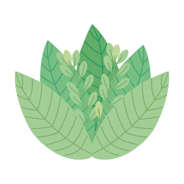 Leafs plant ecology - Stok Vektor
