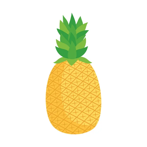Verse ananasvruchten — Stockvector
