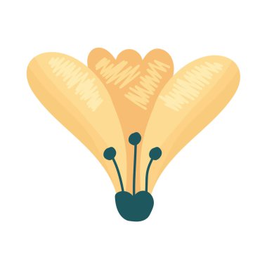 Sarı bahar çiçeği