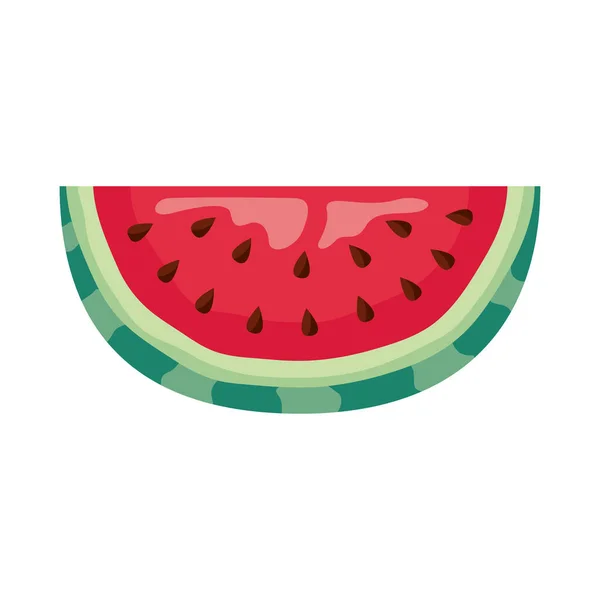 Watermelon fruit portion — Vetor de Stock
