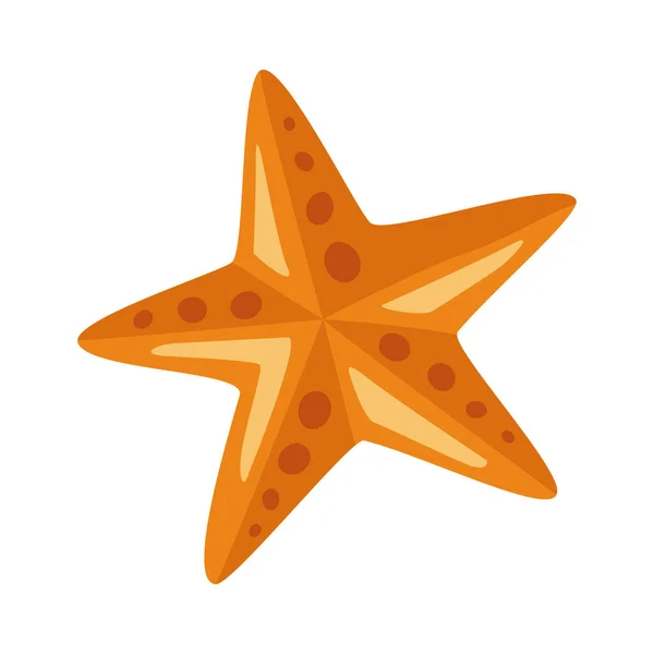 Yellow starfish animal - Stok Vektor